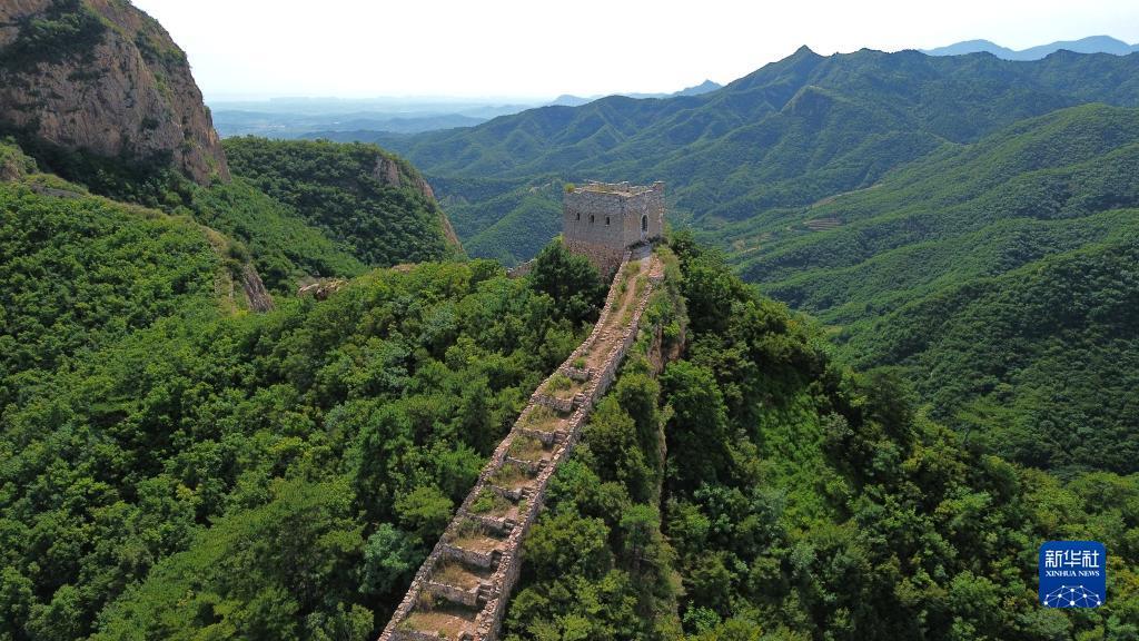 玛丽水果机苹果版下载